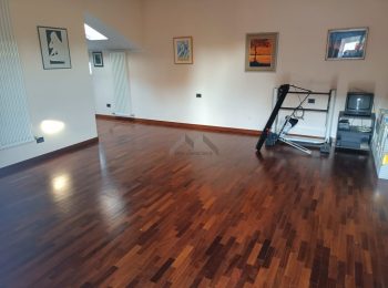 564_498cf3c8-0ac0-4997-947f-6ceab9ea9894