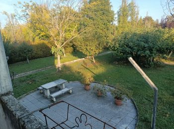 564_90b452ed-5e9d-4636-b70f-1699192543b3