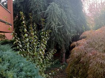 564_photo-2022-11-08-18-36-42