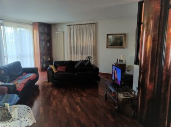 564_photo-2022-11-08-18-37-54