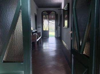 IMG_1359