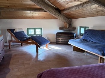 IMG_1378