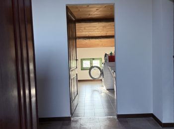 IMG_1382