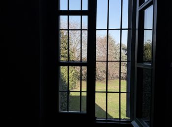 IMG_1389