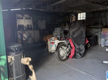 IMG_1394