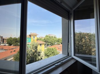 IMG_6737