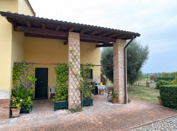 Portico raddrizzato con prospettiva naturale