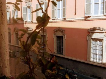 WhatsApp Image 2025-04-17 at 18.26.14 (19)