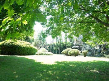 WhatsApp Image 2025-05-19 at 10.18.10 (2)