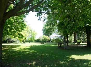 WhatsApp Image 2025-05-19 at 10.18.10 (3)