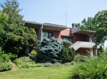 WhatsApp Image 2025-05-19 at 10.18.10