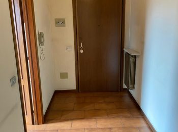 WhatsApp Image 2025-06-17 at 12.05.32