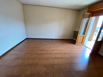 WhatsApp Image 2025-06-17 at 12.05.34 (8)