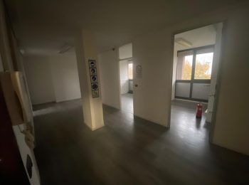 WhatsApp Image 2025-10-31 at 17.41.24