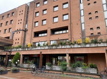 WhatsApp Image 2025-10-31 at 17.41.25 (32)