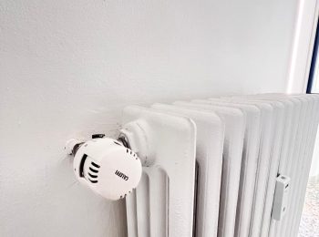 WhatsApp Image 2026-02-05 at 10.51.43 (10)