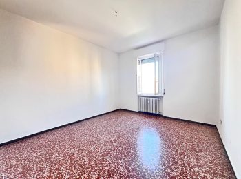 WhatsApp Image 2026-02-05 at 10.51.43 (13)