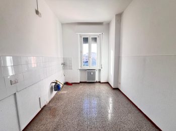 WhatsApp Image 2026-02-05 at 10.51.43 (16)