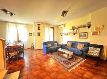 WhatsApp Image 2026-02-05 at 16.58.27