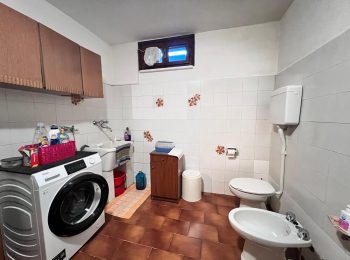 WhatsApp Image 2026-02-05 at 16.59.12 (3)