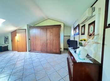 WhatsApp Image 2026-02-05 at 16.59.17