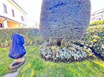 WhatsApp Image 2026-02-05 at 16.59.19 (2)