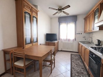 WhatsApp Image 2026-02-06 at 11.42.14 (3)