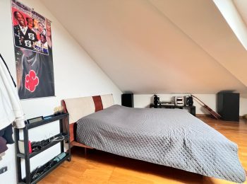 WhatsApp Image 2026-02-09 at 11.33.32