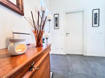 WhatsApp Image 2026-02-09 at 11.33.46