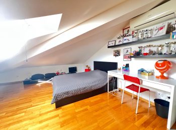 WhatsApp Image 2026-02-09 at 11.33.50