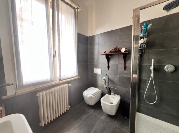 WhatsApp Image 2026-02-09 at 11.33.55