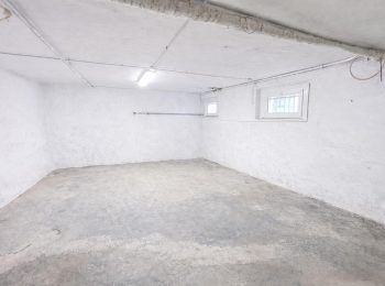 WhatsApp Image 2026-03-04 at 15.27.51 (4)