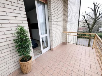 WhatsApp Image 2026-03-12 at 14.09.46 (17)